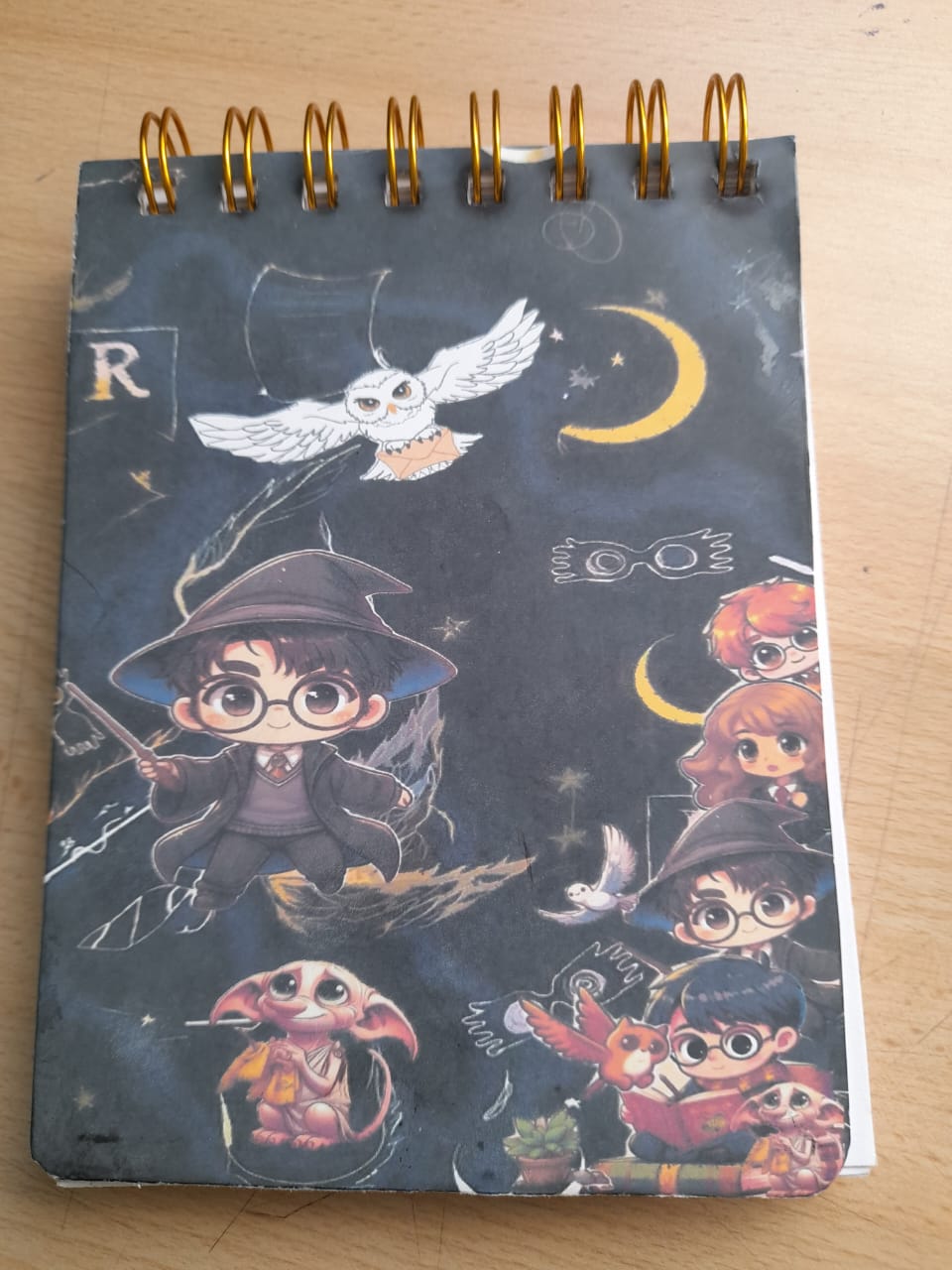 LIBRO HARRY POTTER